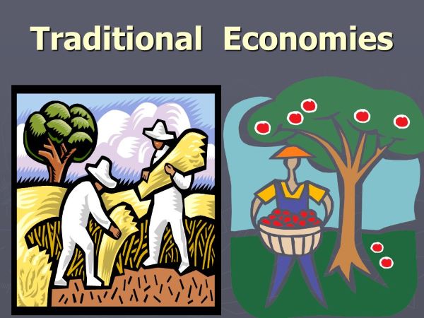 traditional economy