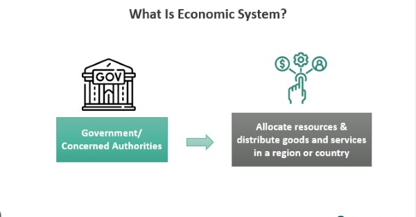 Unveiling the Essence of Economic Systems